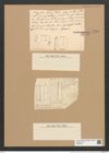 Fragilaria brevis Mont. (de-Toni-Nr.: Genus 73, Species 2710) Zeichnungen Sammlung Grunow Nr. 5566 (NHMW-BOT-W0374031)